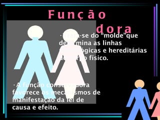 Função Organizadora Trata-se do “molde”que determina as linhas morfológicas e hereditárias do corpo físico. A função conservadora favorece os mecanismos de manifestação da lei de causa e efeito. 