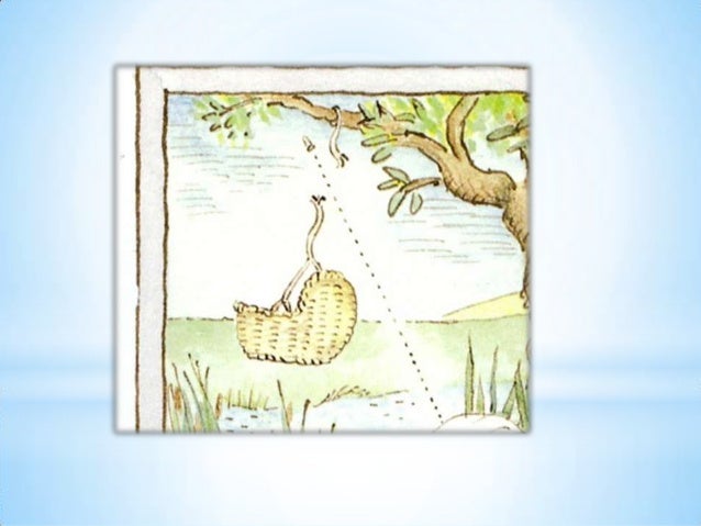 1 pÃªssego, pera, ameixa no pomar