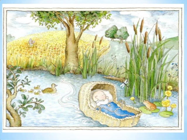 1 pÃªssego, pera, ameixa no pomar