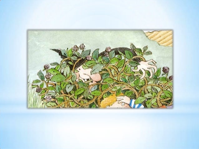 1 pÃªssego, pera, ameixa no pomar