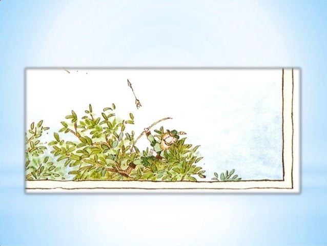 1 pÃªssego, pera, ameixa no pomar