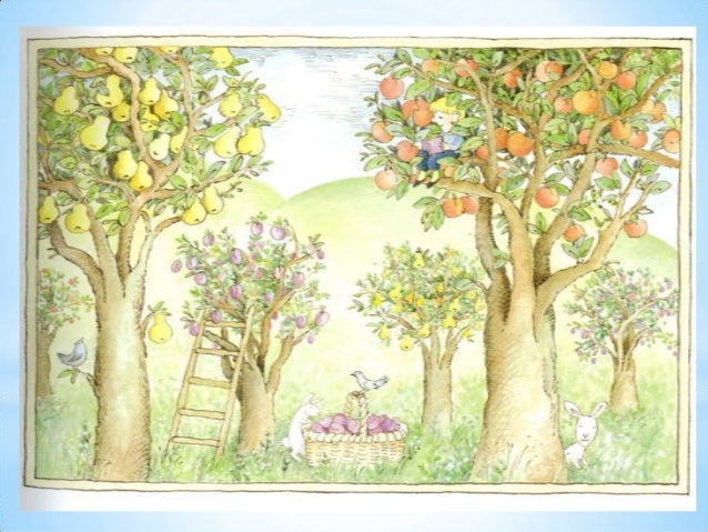 1 pÃªssego, pera, ameixa no pomar