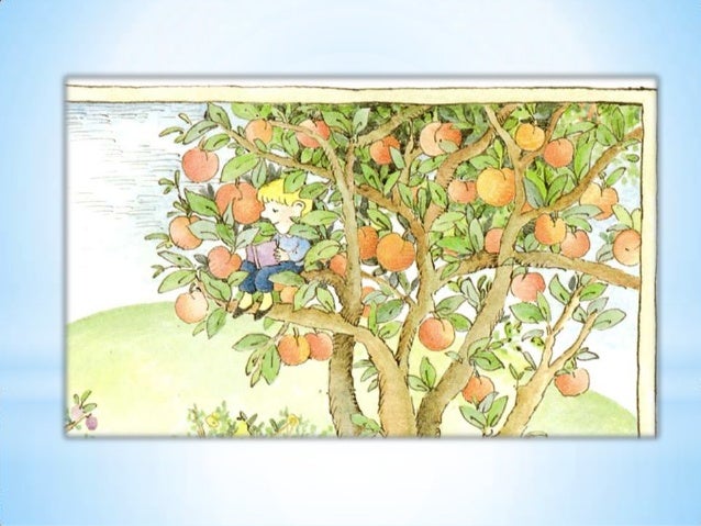 1 pÃªssego, pera, ameixa no pomar