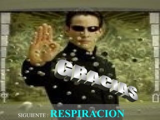 SIGUIENTE : RESPIRACION
 