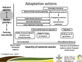 Pushing the boundary on research-development linkages
