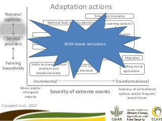 Pushing the boundary on research-development linkages