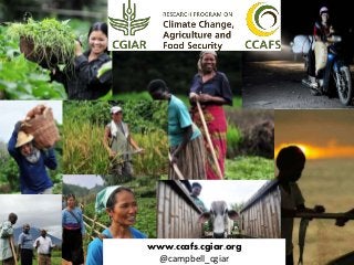 Pushing the boundary on research-development linkages