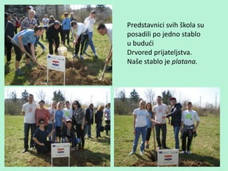 Predstavnici svih škola su
posadili po jedno stablo
u budući
Drvored prijateljstva.
Naše stablo je platana.
 