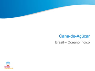 Cana-de-Açúcar
Brasil – Oceano Índico
 