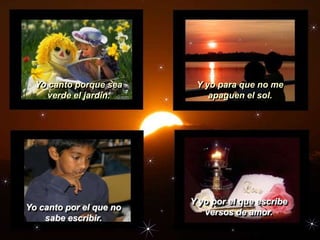 Yo canto porque sea     Y yo para que no me
    verde el jardín.         apaguen el sol.




                         Y yo por el que escribe
Yo canto por el que no
                            versos de amor.
    sabe escribir.
 