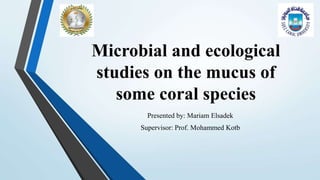 Microbial and ecological
studies on the mucus of
some coral species
Presented by: Mariam Elsadek
Supervisor: Prof. Mohammed Kotb
 