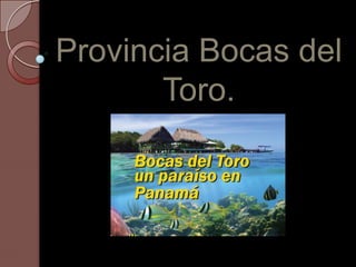 Provincia Bocas del
       Toro.
 