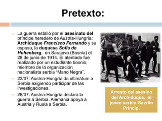 Pretexto:La guerra estalló por el asesinato del príncipe heredero de Austria-Hungría: Archiduque Francisco Fernando y su esposa, la duquesa Sofía de Hohenberg,  en Sarajevo (Bosnia) el 28 de junio de 1914. El atentado fue realizado por un estudiante bosnio, miembro de la organización nacionalista serbia “Mano Negra”.23/07: Austria-Hungría da ultimátum a Serbia exigiendo participar de las investigaciones.28/07: Austria-Hungría declara la guerra a Serbia. Alemania apoya a Austria y Rusia a Serbia. Arresto del asesino del Archiduque,  el joven serbio Gavrilo Princip.