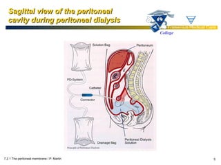 1 ra clase | PPT
