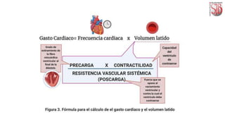 aparato cardiovascular.pptx