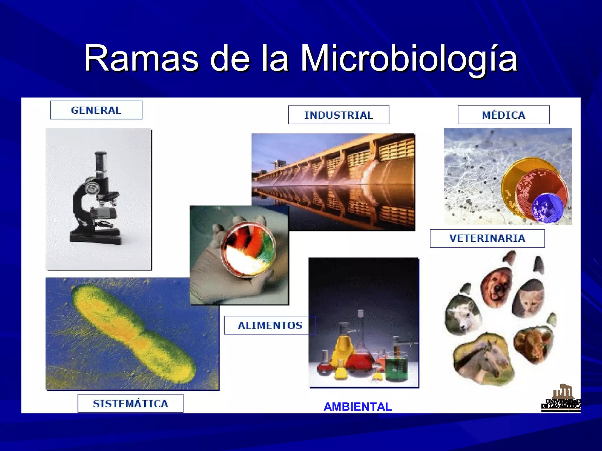Ramas de la MicrobiologíaRamas de la Microbiología
AMBIENTAL
 