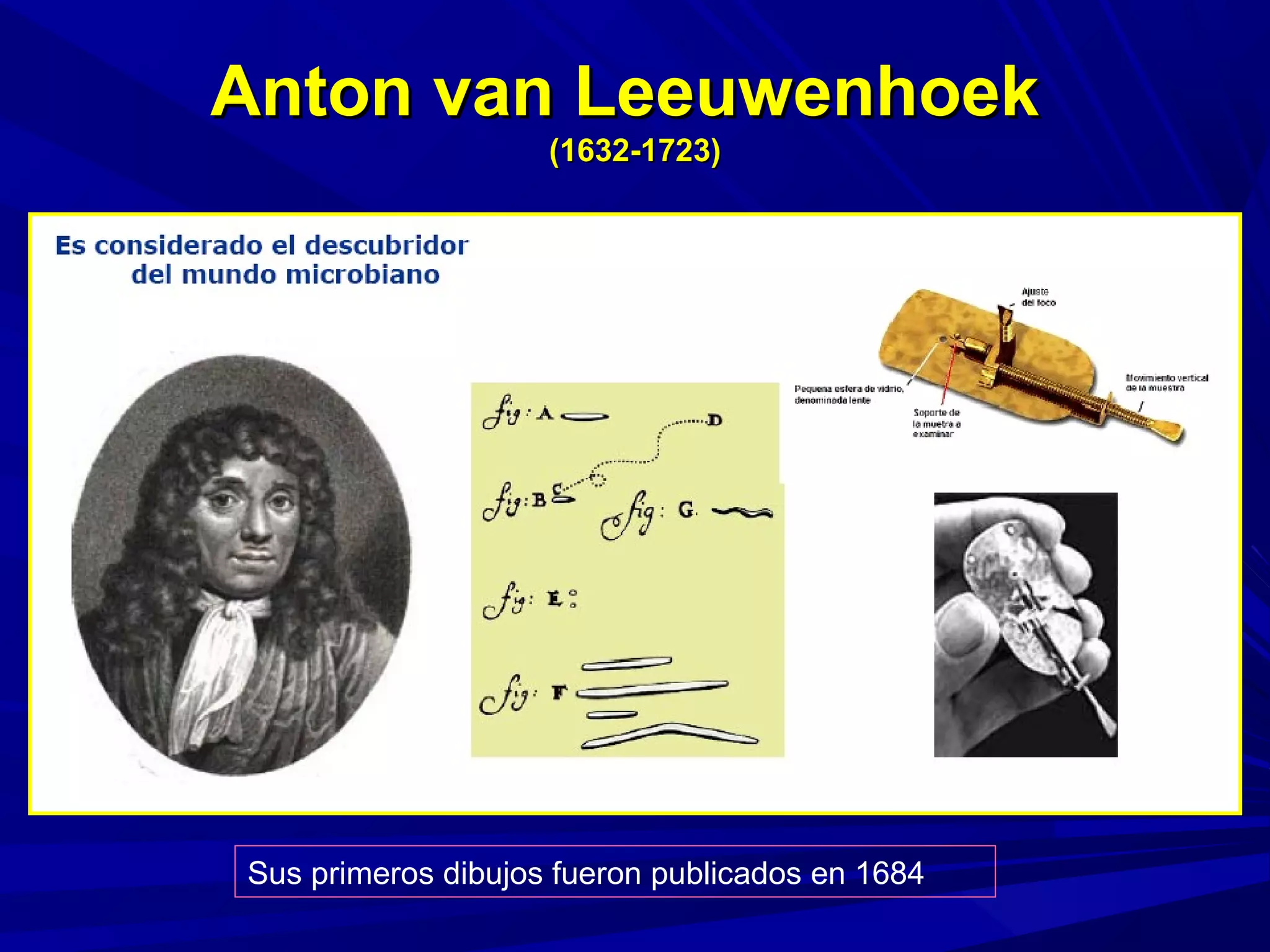 Anton van LeeuwenhoekAnton van Leeuwenhoek
(1632-1723)(1632-1723)
Sus primeros dibujos fueron publicados en 1684
 