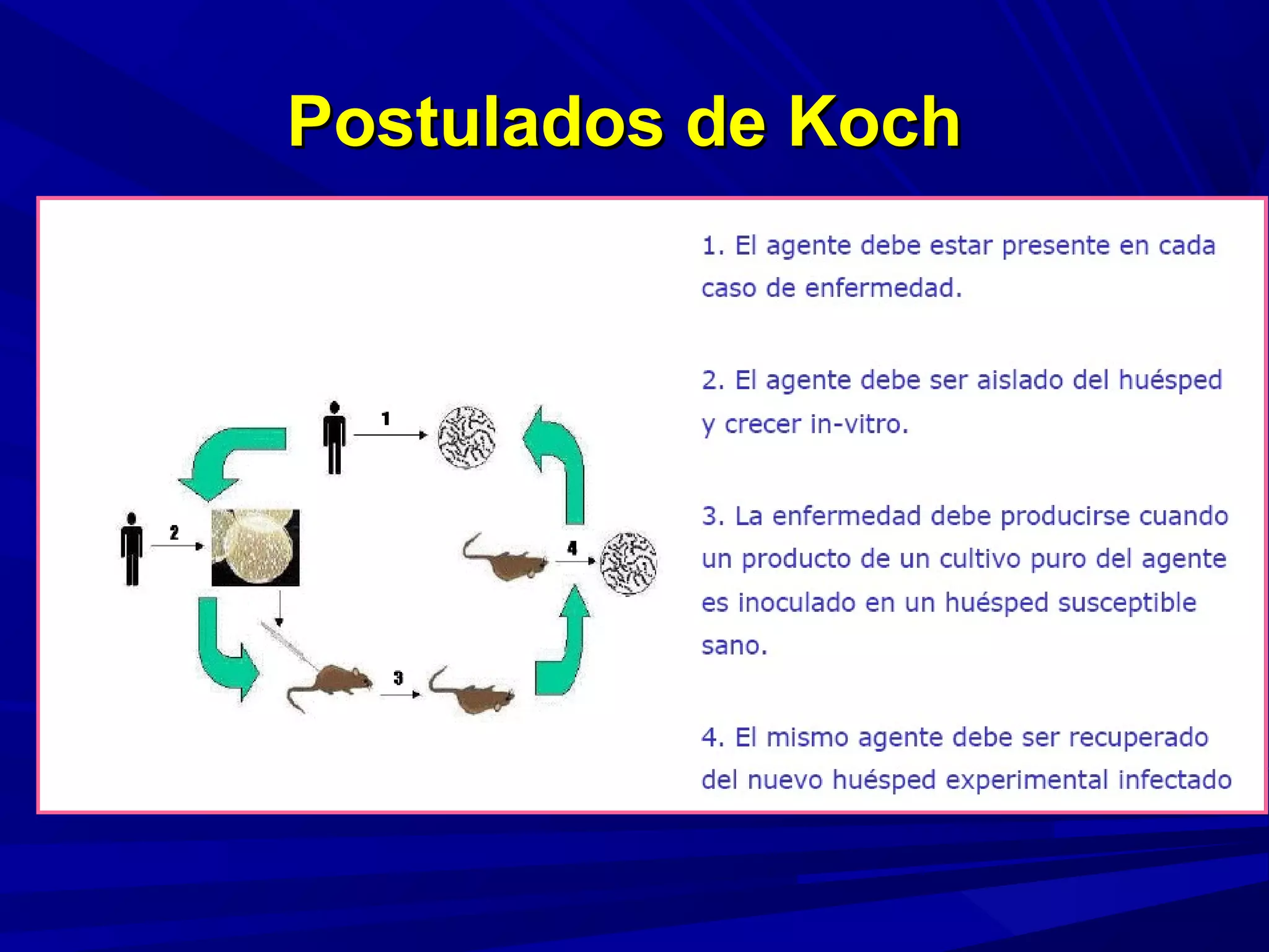Postulados de KochPostulados de Koch
 