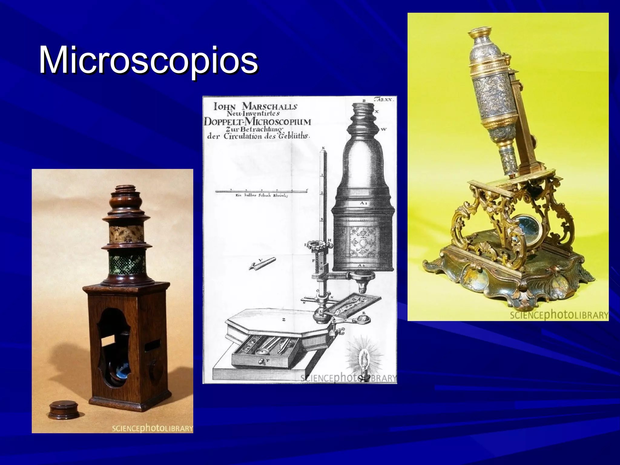 MicroscopiosMicroscopios
 