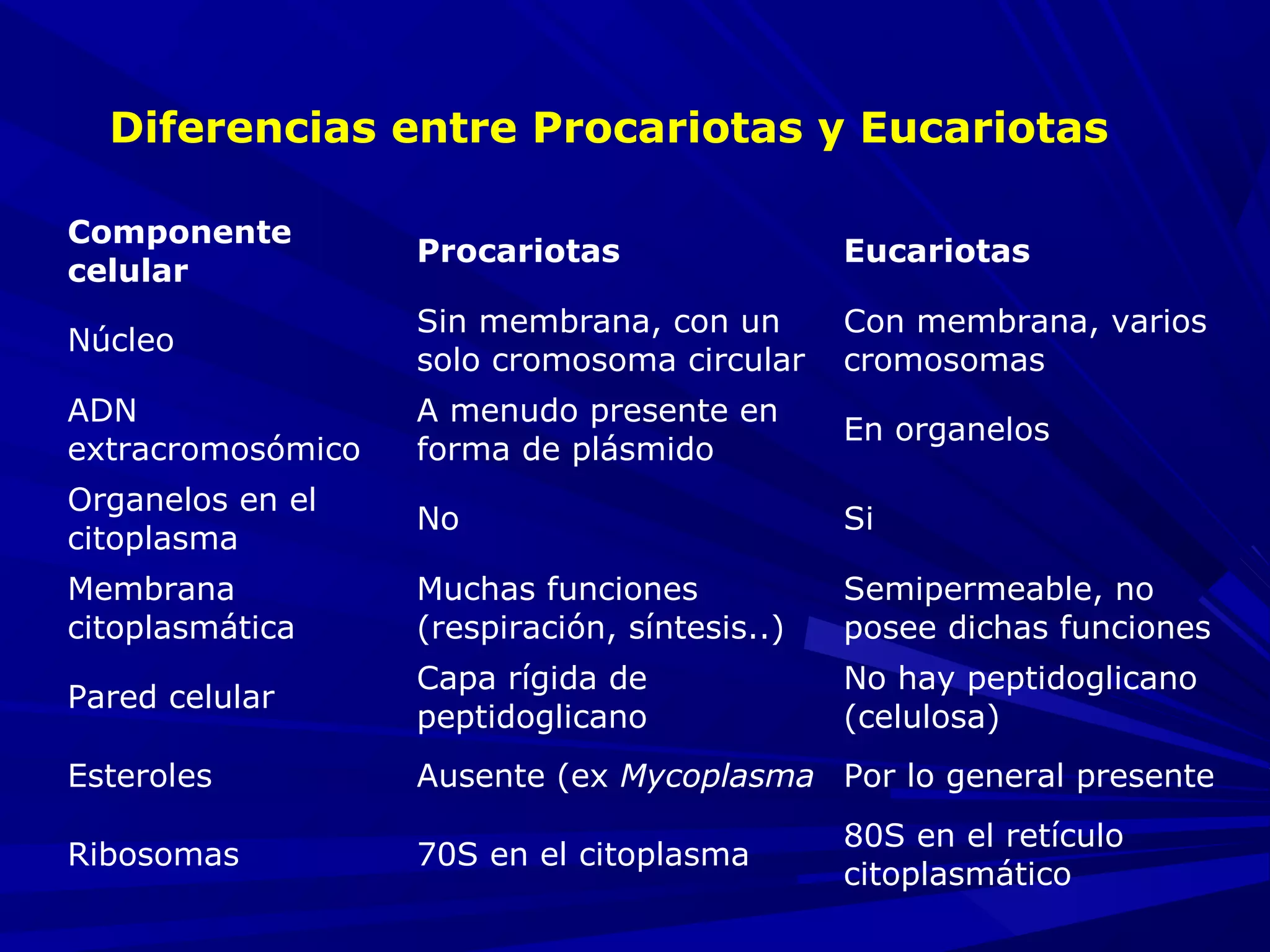 Diferencias entre Procariotas y Eucariotas
Componente
celular
Procariotas Eucariotas
Núcleo
Sin membrana, con un
solo cromosoma circular
Con membrana, varios
cromosomas
ADN
extracromosómico
A menudo presente en
forma de plásmido
En organelos
Organelos en el
citoplasma
No Si
Membrana
citoplasmática
Muchas funciones
(respiración, síntesis..)
Semipermeable, no
posee dichas funciones
Pared celular
Capa rígida de
peptidoglicano
No hay peptidoglicano
(celulosa)
Esteroles Ausente (ex Mycoplasma Por lo general presente
Ribosomas 70S en el citoplasma
80S en el retículo
citoplasmático
 