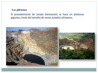 El procedimiento de lavado (lixiviación) se hace en piletones
gigantes, hasta del tamaño de varios estadios olímpicos,
Los piletones
 
