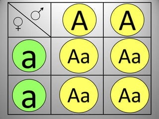 A A

a
a

Aa

Aa

Aa

Aa

Prof. Jairo Rivera

 