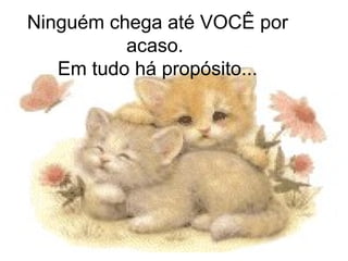 Ninguém chega até VOCÊ por acaso.  Em tudo há propósito... 
