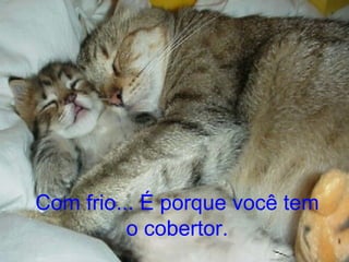 Com frio... É porque você tem o cobertor. 