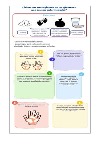- Coloca los materiales sobre una mesa.
- Luego, imagina que la harina son los gérmenes
• Realiza los siguientes pasos con ayuda de un familiar:
 