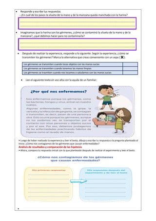  Responde y escribe tus respuestas
- ¿En cuál de los pasos la silueta de la mano y de la manzana queda manchada con la harina?
 Imaginamos que la harina son los gérmenes, ¿cómo se contaminó la silueta de la mano y de la
manzana?, ¿qué debimos hacer para no contaminarla?
 Después de realizar la experiencia, responde a lo siguiente: Según la experiencia, ¿cómo se
transmiten los gérmenes? Marca la alternativa que creas conveniente con un aspa (✖).
Los gérmenes se transmiten cuando tocas objetos con las manos sucias
Los gérmenes se transmiten cuando tenemos las manos limpias
Los gérmenes se trasmiten cuando nos tocamos o saludamos con las manos sucias
 Lee el siguiente texto en voz alta con la ayuda de un familiar:
• Luego de haber realizado la experiencia y leer el texto, dibuja o escribe tu respuesta a la pregunta planteada al
inicio: ¿Cómo nos contagiamos de los gérmenes que causan enfermedades?
Análisis de resultados y comparación de las hipótesis
• Ahora, compara tu respuesta inicial con lo que planteaste después de realizar el experimento y leer el texto.
•
 