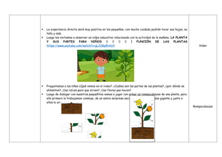  La experiencia directa será muy positiva en los pequeños, con mucho cuidado podrán tocar sus hojas, su
tallo y más.
 Luego los invitamos a observar un video educativo relacionado con la actividad de la mañana. LA PLANTA
Y SUS PARTES PARA NIÑOS 🌼 🌷 🌱 🌲 | FUNCIÓN DE LAS PLANTAS
https://www.youtube.com/watch?v=gLJS8p8HnSY
 Preguntamos a los niños ¿Qué vemos en el video?, ¿Cuáles son las partes de las plantas?, ¿por dónde se
alimentan?, ¿las raíces para que sirven?, ¿las flores que hacen?
 Luego de dialogar con nuestros pequeñitos vamos a jugar con armar un rompecabezas de una planta, para
ello primero lo trabajamos conmigo, de un sobre sorpresa sacamos un rompecabezas gigante y junto a
ellos lo armamos.
Video
Rompecabezas
 