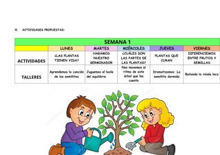 X. ACTIVIDADES PROPUESTAS:
SEMANA 1
LUNES MARTES MIÉRCOLES JUEVES VIERNES
ACTIVIDADES
¿LAS PLANTAS
TIENEN VIDA?
HAGAMOS
NUESTRO
GERMINADOR
¿CUÁLES SON
LAS PARTES DE
LAS PLANTAS?
PLANTAS QUE
CURAN
DIFERENCIEMOS
ENTRE FRUTOS Y
SEMILLAS
TALLERES
Aprendemos la canción
de las semillitas
Juguemos el baile
del equilibrio
Nos movemos al
ritmo de este
árbol que les
cuento
Dramatizamos: La
semillita dormida
Bailando la ronda loca
 