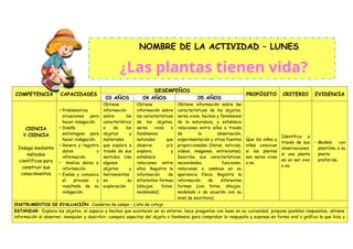 COMPETENCIA CAPACIDADES
DESEMPEÑOS
PROPÓSITO CRITERIO EVIDENCIA
03 AÑOS 04 AÑOS 05 AÑOS
CIENCIA
Y CIENCIA
Indaga mediante
métodos
científicos para
construir sus
conocimientos
• Problematiza
situaciones para
hacer indagación.
• Diseña
estrategias para
hacer indagación.
• Genera y registra
datos o
información.
• Analiza datos e
información.
• Evalúa y comunica
el proceso y
resultado de su
indagación.
Obtiene
información
sobre las
característica
s de los
objetos y
materiales
que explora a
través de sus
sentidos. Usa
algunos
objetos y
herramientas
en su
exploración.
Obtiene
información sobre
las características
de los objetos,
seres vivos o
fenómenos
naturales que
observa y/o
explora, y
establece
relaciones entre
ellos. Registra la
información de
diferentes formas
(dibujos, fotos,
modelados).
Obtiene información sobre las
características de los objetos,
seres vivos, hechos y fenómenos
de la naturaleza, y establece
relaciones entre ellos a través
de la observación,
experimentación y otras fuentes
proporcionadas (libros, noticias,
videos, imágenes, entrevistas).
Describe sus características,
necesidades, funciones,
relaciones o cambios en su
apariencia física. Registra la
información de diferentes
formas (con fotos, dibujos,
modelado o de acuerdo con su
nivel de escritura).
Que los niños y
niñas conozcan
si las plantas
son seres vivos
o no.
Identifica a
través de sus
observaciones
si una planta
es un ser vivo
o no.
• Modela con
plastilina a su
planta
preferida.
INSTRUMENTOS DE EVALUACIÓN: Cuaderno de campo – Lista de cotejo
ESTANDAR: Explora los objetos, el espacio y hechos que acontecen en su entorno, hace preguntas con base en su curiosidad, propone posibles respuestas, obtiene
información al observar, manipular y describir; compara aspectos del objeto o fenómeno para comprobar la respuesta y expresa en forma oral o gráfica lo que hizo y
NOMBRE DE LA ACTIVIDAD – LUNES
¿Las plantas tienen vida?
 