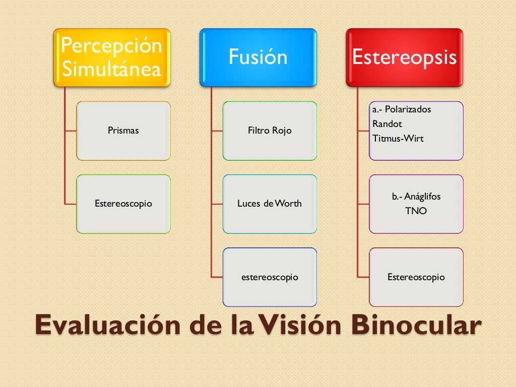 visión binocular