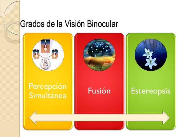 visión binocular