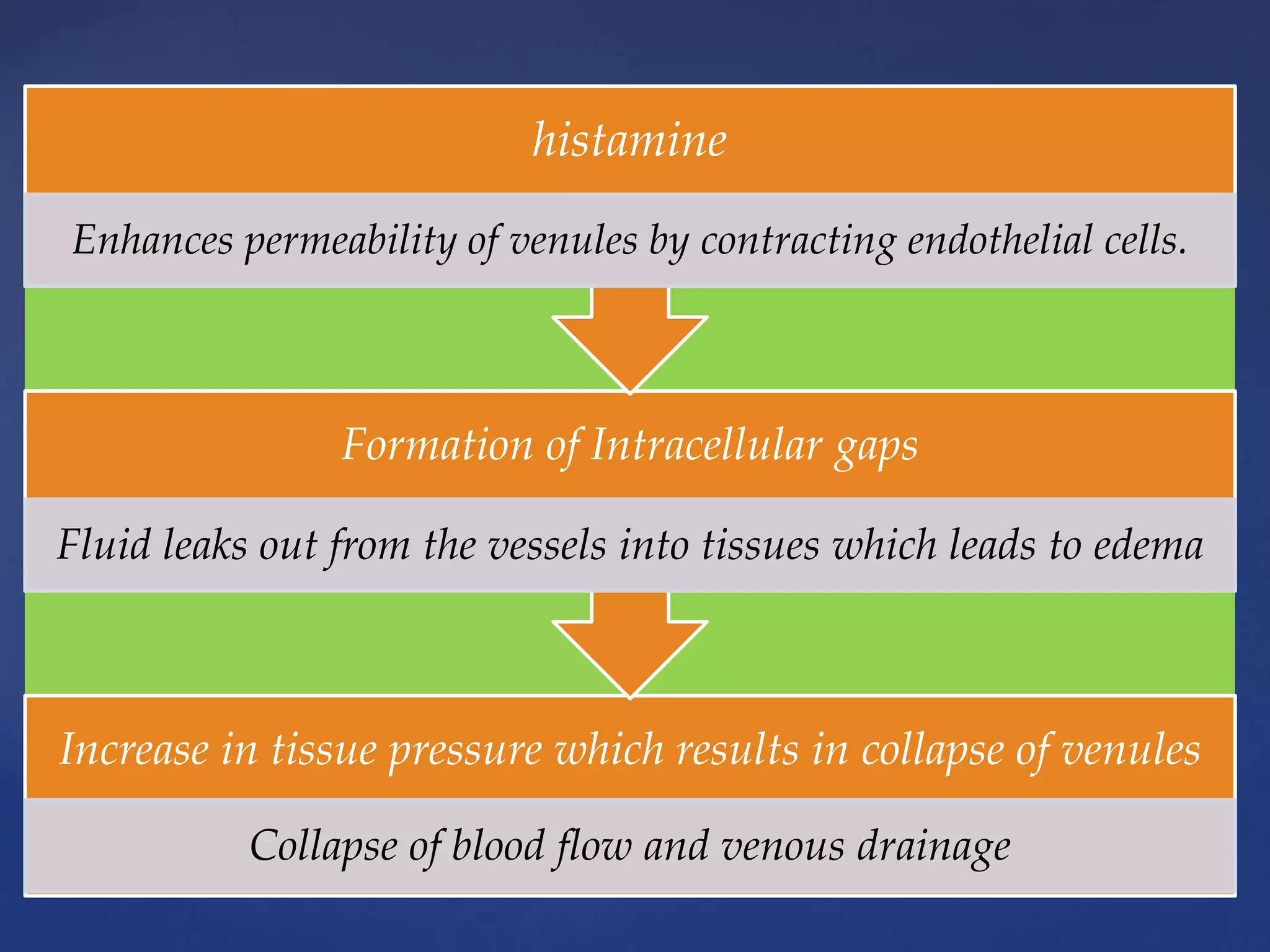 Increase in tissue pressure which results in collapse of venules
Collapse of blood flow and venous drainage
Formation of Intracellular gaps
Fluid leaks out from the vessels into tissues which leads to edema
histamine
Enhances permeability of venules by contracting endothelial cells.
 
