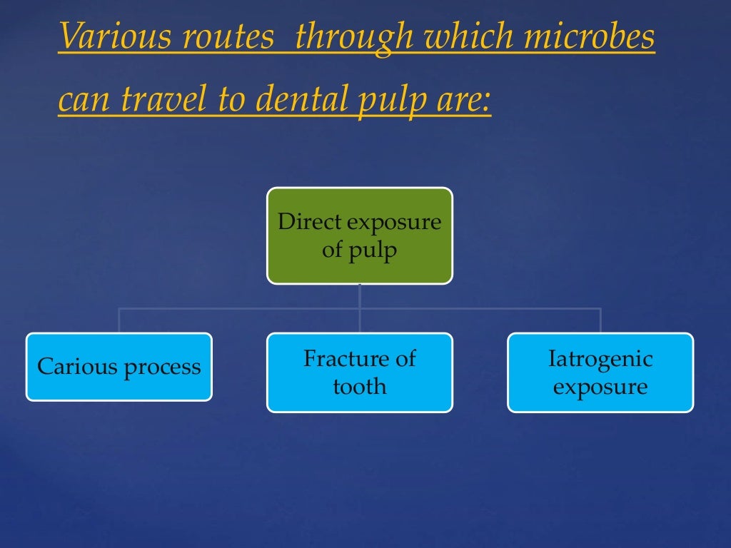 Rationale of endodontics