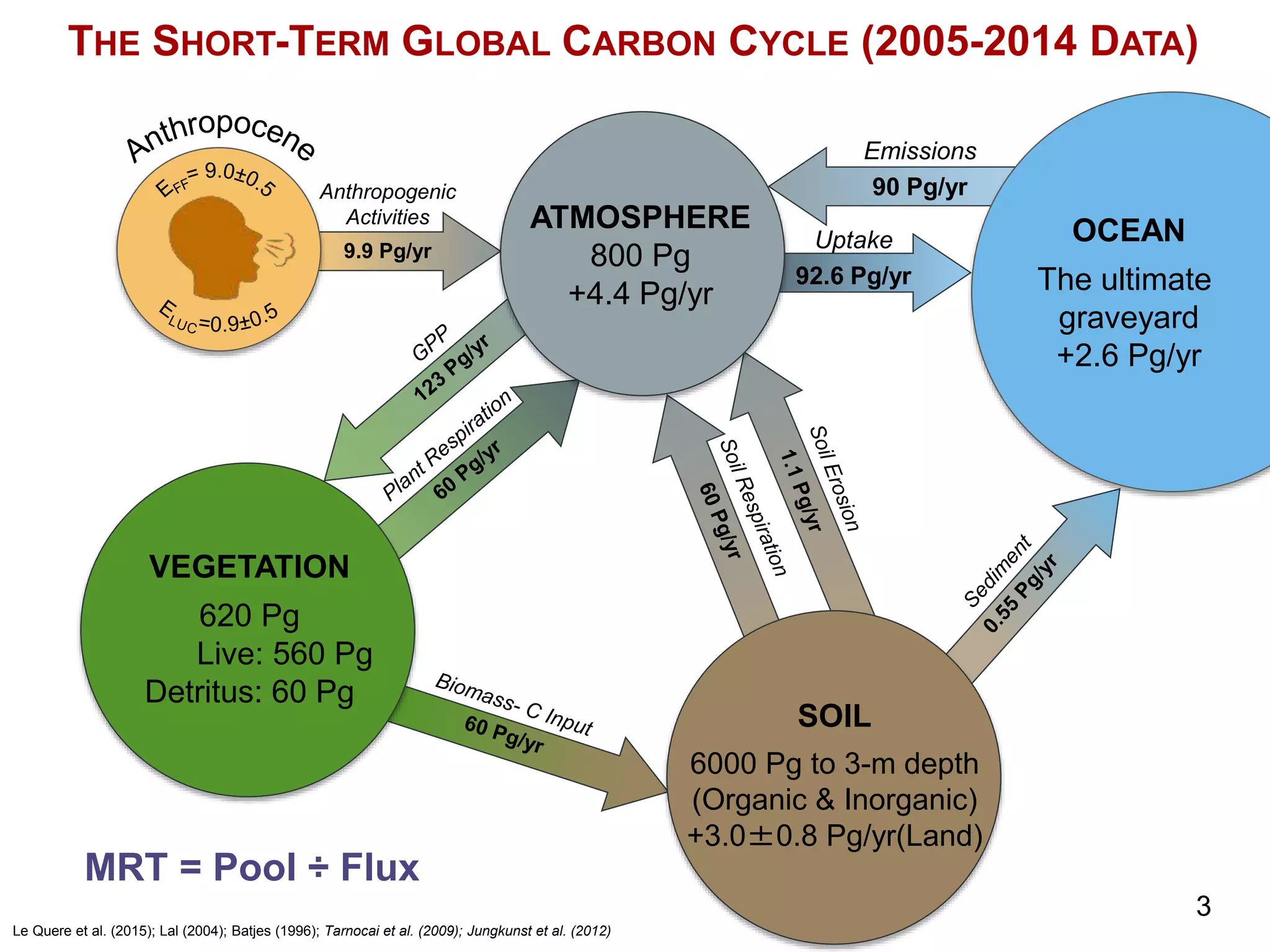 3
Carbon Management and
Sequestration Center
THE SHORT-TERM GLOBAL CARBON CYCLE (2005-2014 DATA)
Anthropogenic
Activities
9.9 Pg/yr
Emissions
90 Pg/yr
Uptake
92.6 Pg/yr
ATMOSPHERE
800 Pg
+4.4 Pg/yr
OCEAN
The ultimate
graveyard
+2.6 Pg/yr
SOIL
6000 Pg to 3-m depth
(Organic & Inorganic)
+3.0±0.8 Pg/yr(Land)
VEGETATION
620 Pg
Live: 560 Pg
Detritus: 60 Pg
Le Quere et al. (2015); Lal (2004); Batjes (1996); Tarnocai et al. (2009); Jungkunst et al. (2012)
MRT = Pool ÷ Flux
 