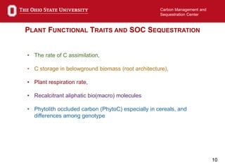 10
Carbon Management and
Sequestration Center
PLANT FUNCTIONAL TRAITS AND SOC SEQUESTRATION
• The rate of C assimilation,
• C storage in belowground biomass (root architecture),
• Plant respiration rate,
• Recalcitrant aliphatic bio(macro) molecules
• Phytolith occluded carbon (PhytoC) especially in cereals, and
differences among genotype
 