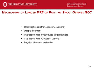 13
Carbon Management and
Sequestration Center
MECHANISMS OF LONGER MRT OF ROOT VS. SHOOT-DERIVED SOC
• Chemical recalcitrance (cutin, suberins)
• Deep placement
• Interaction with mycorrhizae and root hairs
• Interaction with polyvalent cations
• Physico-chemical protection
 