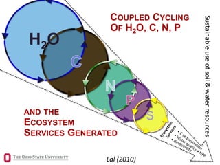 16
Carbon Management and
Sequestration Center
Sustainableuseofsoil&waterresources
AND THE
ECOSYSTEM
SERVICES GENERATED
COUPLED CYCLING
OF H2O, C, N, P
Lal (2010)
 