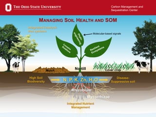 9
Carbon Management and
Sequestration Center
Disease-
Suppressive soil
High Soil
Biodiversity
Mulch Cover crop
MANAGING SOIL HEALTH AND SOM
Mycorrhizae
Integrated Nutrient
Management
Rhizobium
Molecular-based signals
Integrated livestock-
tree systems
N, P, K, Zn, H2O
No-till
 