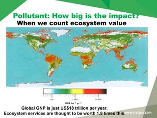 Global GNP is just US$18 trillion per year.
Ecosystem services are thought to be worth 1.8 times this.
Pollutant: How big is the impact?
When we count ecosystem value
 