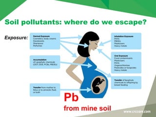 Soil pollutants: where do we escape?
Exposure:
Pb
from mine soil
 