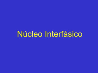 Núcleo Interfásico 