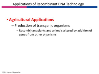 Applications of Recombinant DNA Technology
• Agricultural Applications
– Production of transgenic organisms
• Recombinant plants and animals altered by addition of
genes from other organisms
© 2012 Pearson Education Inc.
 
