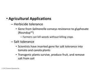 • Agricultural Applications
– Herbicide tolerance
• Gene from Salmonella conveys resistance to glyphosate
(Roundup™)
– Farmers can kill weeds without killing crops
– Salt tolerance
• Scientists have inserted gene for salt tolerance into
tomato and canola plants
• Transgenic plants survive, produce fruit, and remove
salt from soil
© 2012 Pearson Education Inc.
 