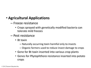 • Agricultural Applications
– Freeze resistance
• Crops sprayed with genetically modified bacteria can
tolerate mild freezes
– Pest resistance
• Bt toxin
– Naturally occurring toxin harmful only to insects
– Organic farmers used to reduce insect damage to crops
• Gene for Bt toxin inserted into various crop plants
• Genes for Phytophthora resistance inserted into potato
crops
© 2012 Pearson Education Inc.
 