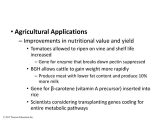 • Agricultural Applications
– Improvements in nutritional value and yield
• Tomatoes allowed to ripen on vine and shelf life
increased
– Gene for enzyme that breaks down pectin suppressed
• BGH allows cattle to gain weight more rapidly
– Produce meat with lower fat content and produce 10%
more milk
• Gene for β-carotene (vitamin A precursor) inserted into
rice
• Scientists considering transplanting genes coding for
entire metabolic pathways
© 2012 Pearson Education Inc.
 