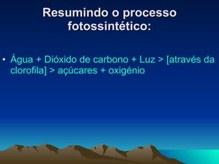 Resumindo o processo fotossintético: Água + Dióxido de carbono + Luz > [através da clorofila] > açúcares + oxigénio 